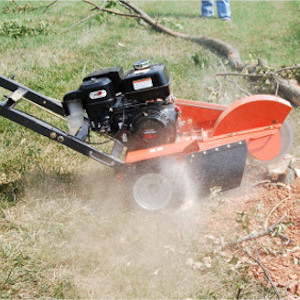 making short work of old tree stump with grinder